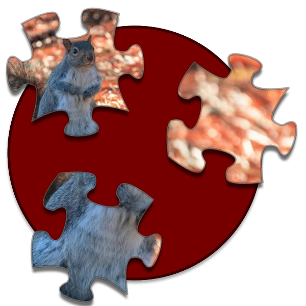 Shockwave Jigsaw preview