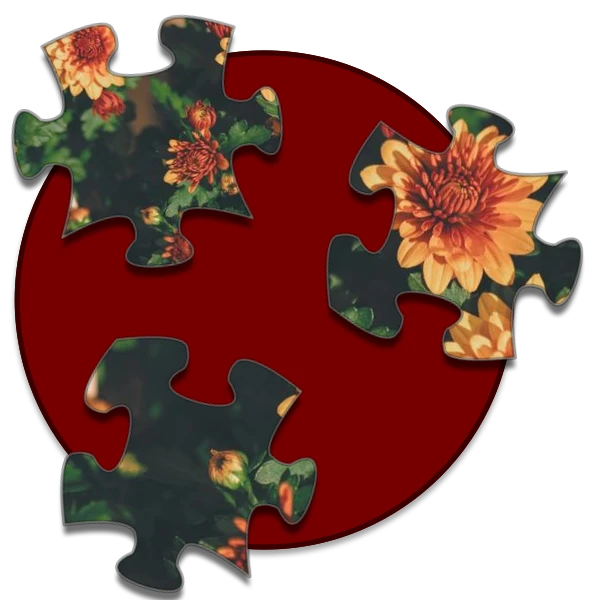 Shockwave Jigsaw preview