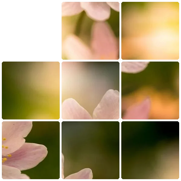 Tilee preview