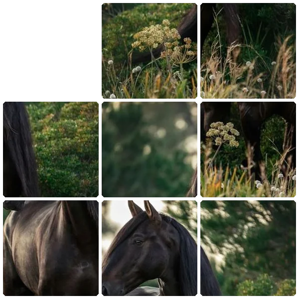 Tilee preview