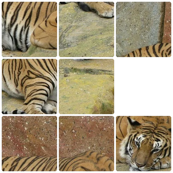 Tilee preview
