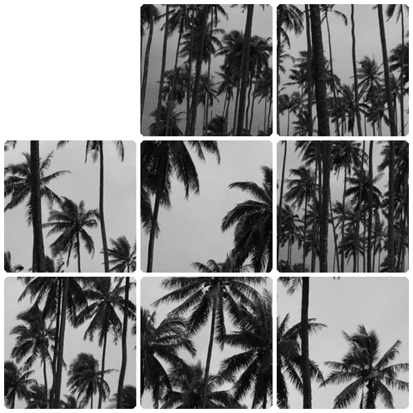 Tilee preview