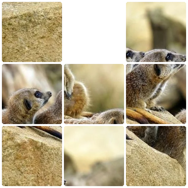 Tilee preview