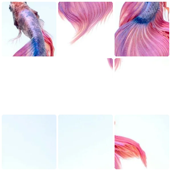 Tilee preview