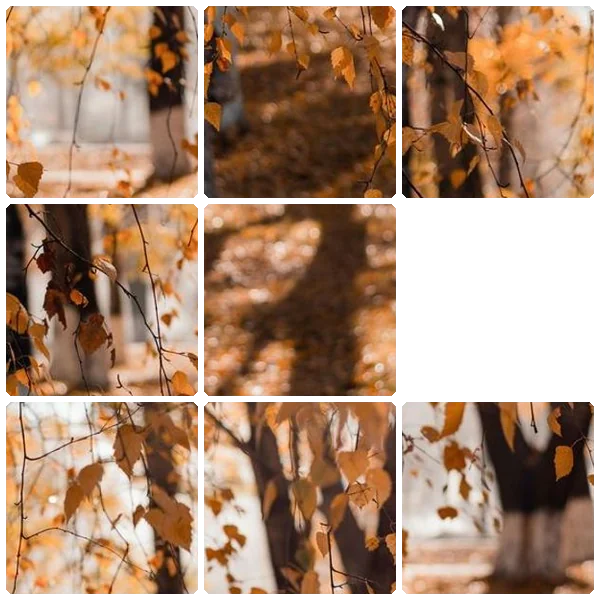 Tilee preview