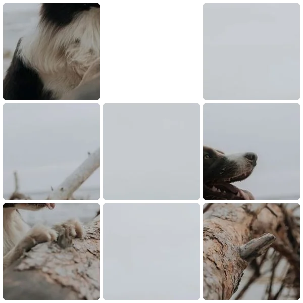 Tilee preview