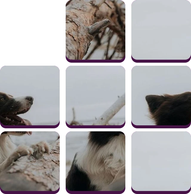 Tilee preview