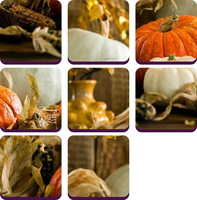 Tilee preview