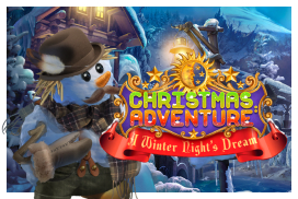 Christmas Adventures: A Winter Night's Dream