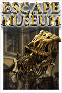 Escape the Museum