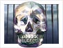 Nancy Drew®: Legend of the Crystal Skull