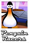 Penguin Racers