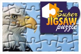 Super Jigsaw Americana